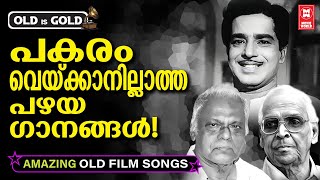 Download lagu മലയാളസിനിമയിൽ പകരം വെക്കാനില്ലാത്ത പഴയ നിത്യഹരിത ഗാനങ്ങൾ ✨❤️ | OLD IS GOLD mp3