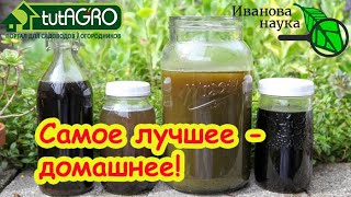ЧТОБЫ ОГУРЦОВ и ПОМИДОРОВ БЫЛО МОРЕ, поливайте их этим домашним средством. Н?
