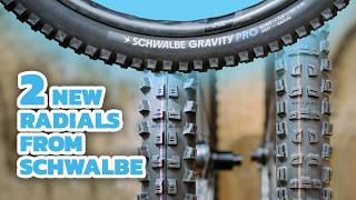 New Favorite Treads? Schwalbe Romy and a New Tacky Chan