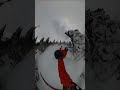I Fell ️ Fail Skiing Snow Mountain Funny Fall Red Entertainment Tree Camra Cool Comedy