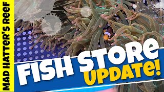 Fish Store Update | One Take Sunday!