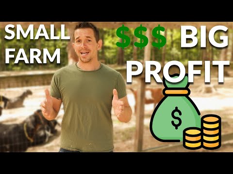Five Ways to Make BIG MONEY on a Small Farm