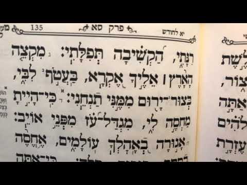 תהלים פרק סא’ Tehillim perek 61 chapter 61