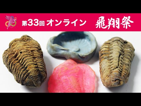 昔の生き物を見てみよう！