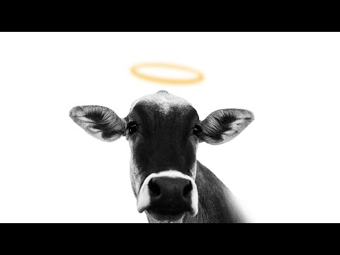 Froid - Indústria do Medo