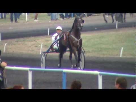 Топ Тен са Ивицом Вуковим, 2012 Деспотово