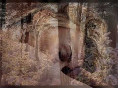 Koliko te volim - Ivana Pandurovic