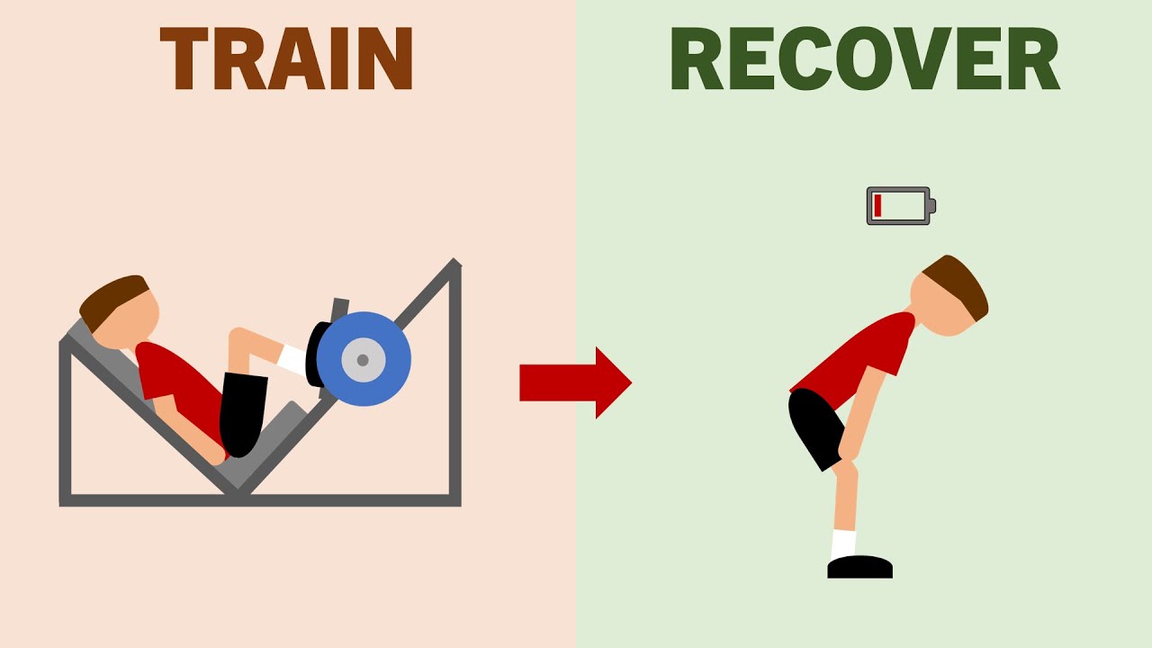 How Long Does it Take to Recover From a Workout?