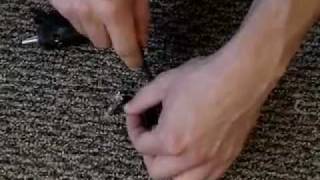 preview picture of video 'Palm Beach Gardens Carpet Cleaning - Carpet repair'