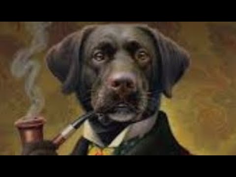 Savinelli Siena 510 Ks tobacco pipe and chat. #pipesmoking #ytpc #pipetobacco #nwpiper