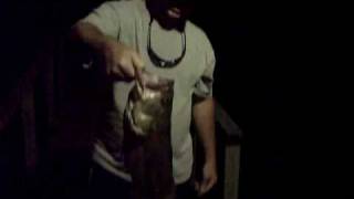 preview picture of video 'Bass Fishing- 7 Pound Bass'