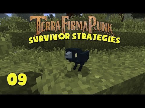 TerraFirmaPunk - Survivor Strategies - #09 - Sphalerite Mine