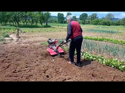 Kineski kultivator Weima