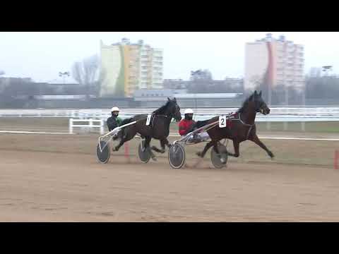 2018.02.17. 2. futam - 2018. ÉVI SEGÉDHAJTÓ KUPA DÍJ I. FUTAM