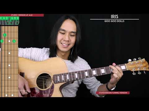 Iris Guitar Cover Acoustic - Goo Goo Dolls 🎸 Standard & Alternate Tuning |Tabs + Chords|