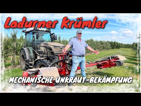 Obsthof Raddatz - Mechanical weed control with the Ladurner Krümler on the FENDT VARIO 211P