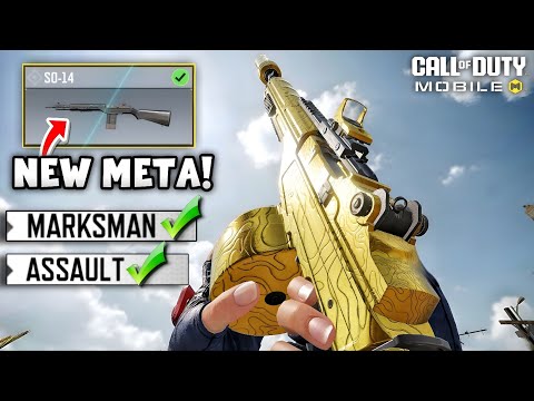 New SO-14 Is a Marksman Rifle and an Assault Rifle at the Same Time