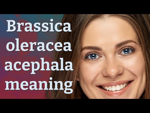 Brassica oleracea acephala | meaning of Brassica oleracea acephala