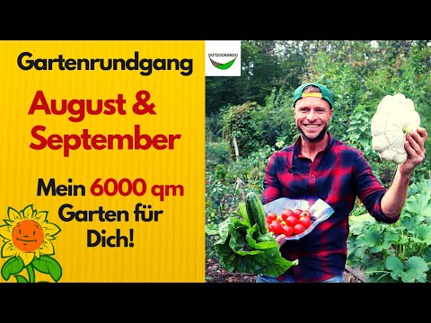 Gartenrundgang August &  September 🌞  - 6000 qm Selbstversorgung und naturnahes Gärtnern 🍅 🥒