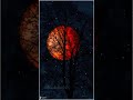 Rapalungin Thulli Veena ️ Latest Whatsapp Status