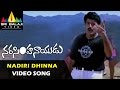 Narasimha Naidu Video Songs Nadiri Dhinna Video Song Balakrishna Simran Sri Balaji Video