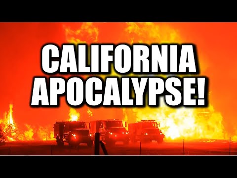 Kalifornská apokalypsa | Mark Fox