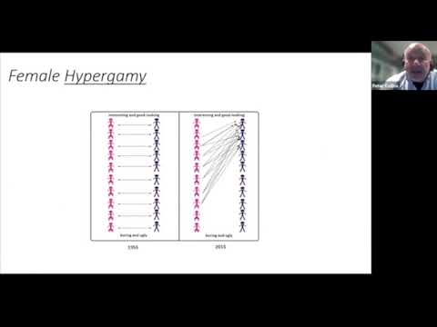 Incels and the Rise of Misogynistic Extremism