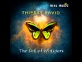 Real Music Album Sampler: The Veil of Whispers by Thierry David