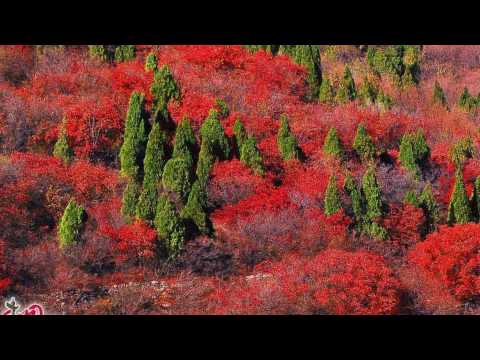 《山丹丹开花红艳艳》01交响乐&middot; 陕北民歌&middot;中央交响乐团演奏