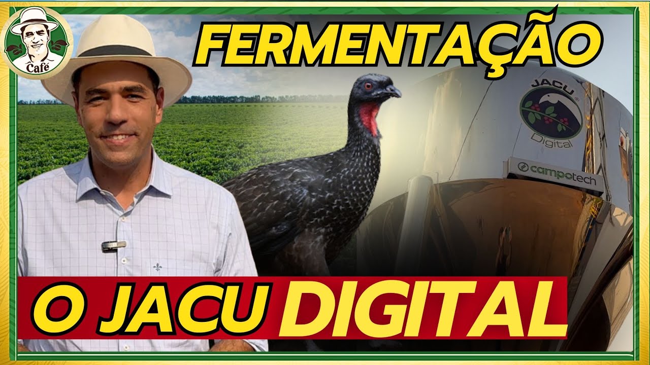 A Moderna Técnica de Fermentação do Café