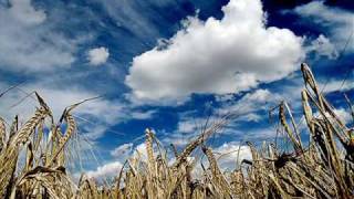 Big Daddy Wilson - Summertime