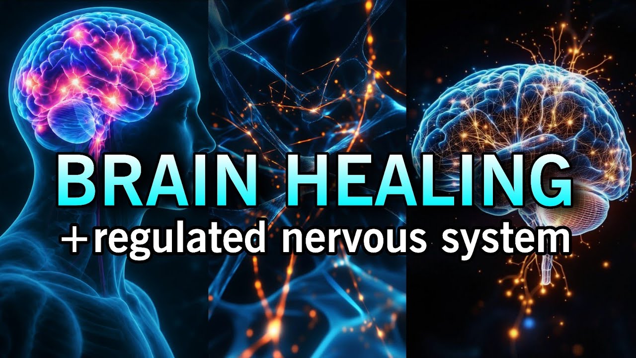 「experimental」HEALTHY BRAIN & REGULATED NERVOUS SYSTEM