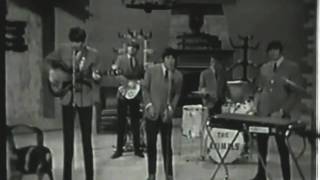 The Animals - It&#39;s My Life (Live, 1965) ♫♥