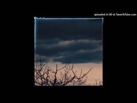 Delcada - DRUNKEN LOTUS (prod. BLNKFCE)