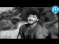 Amma Ani Arachina