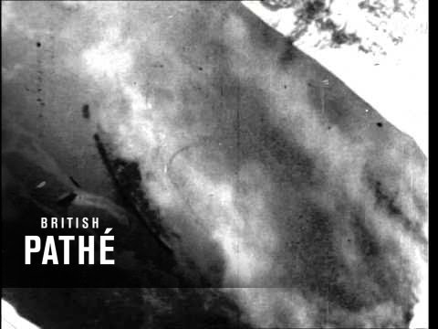 The 'tirpitz' Bombed (1944)