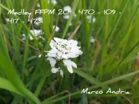 Medley Méditation   FFPM 20  FFPM 470  FFPM 109  FFPM 417  FFPM 473   Louange in