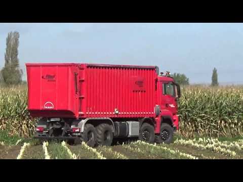 Loonw. Baeke Willems   Sleidinge