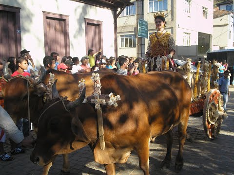 Festa do milho de 2008 em Cipotânea Minas Gerais