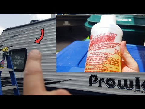 Best black streak remover on the market