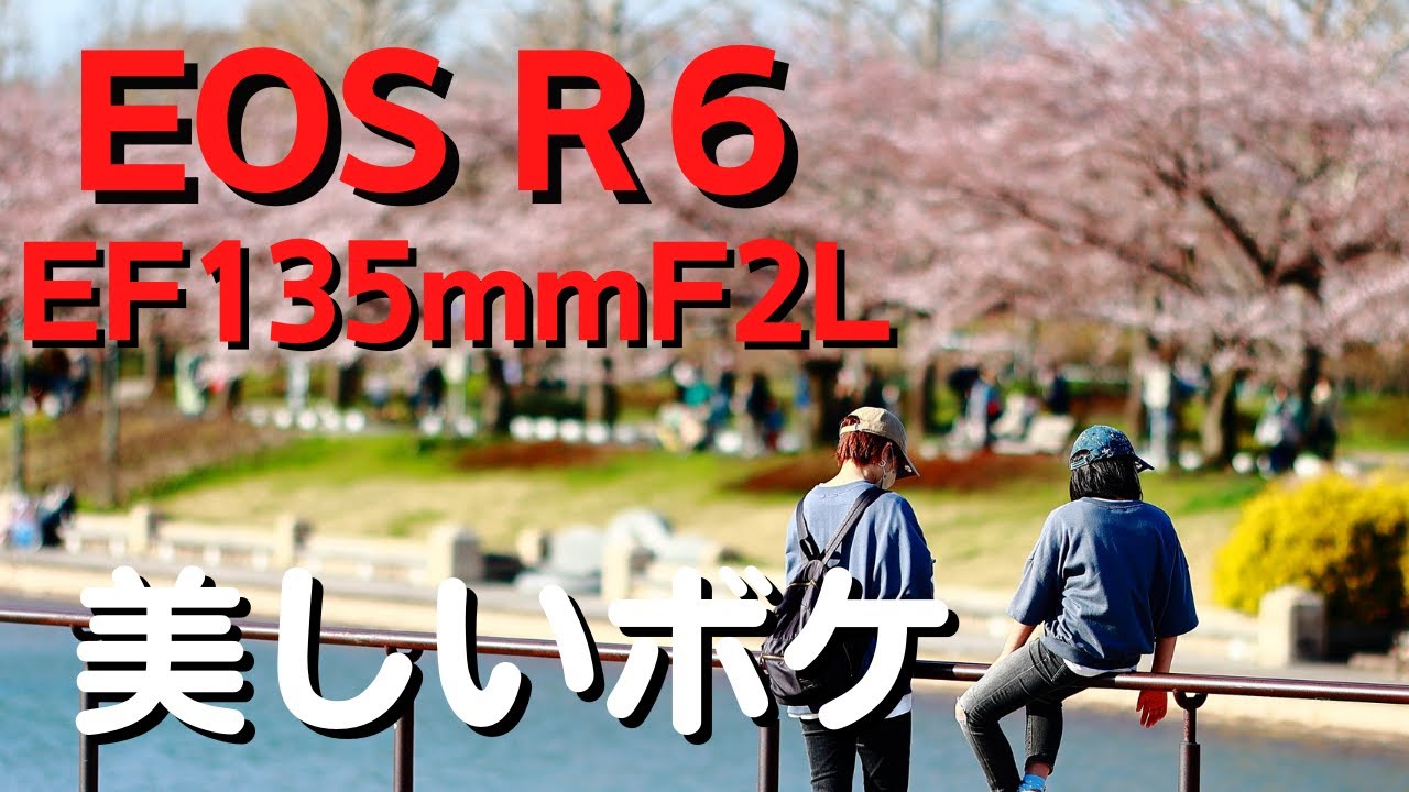 美しいボケがたまらない、最高のレンズなんだがEF135mmF2Lで撮る夕方の桜『EOS R6』