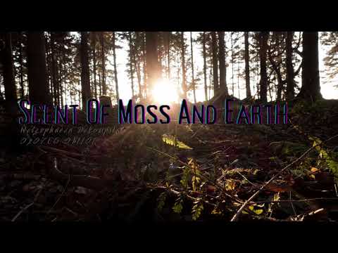 Scent Of Moss And Earth 『Dub Techno Set』 - DKMPLT #6-2021