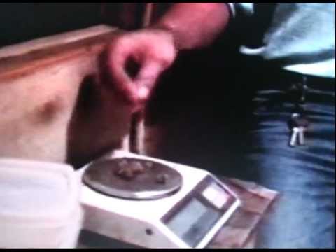 Friendly Fire Band Featuring Lion Art - Welcome to Holland OFFICIAL VIDEO | HD