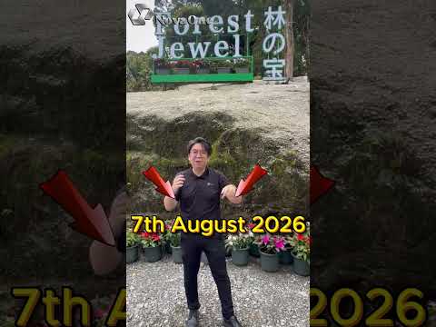 Forest Jewel — Retail Ticketing & F&B POS