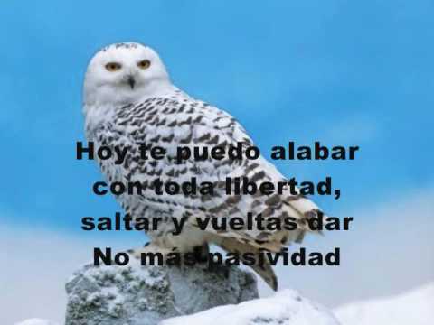 Como No Agradecer video