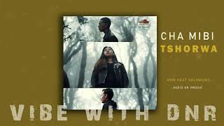Cha mibi tshorwa_DNR & KenlDorji Music Video
