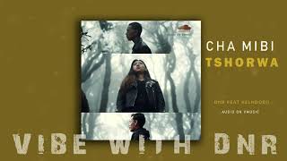 Cha mibi tshorwa_DNR & KenlDorji Music Video