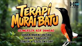 Download lagu TERAPI MURAI BATU MACET BUNYI | TERAPI SUARA AIR SUNGAI DAN SUARA BURUNG DI HUTAN mp3 Download lagu TERAPI MURAI BATU MACET BUNYI | TERAPI SUARA AIR SUNGAI DAN SUARA BURUNG DI HUTAN mp3