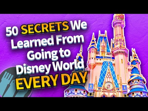50 segredos que aprendemos ao ir à Disney World todos os dias