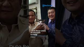 Si Bobby Kucing Milik Prabowo Jadi Sorotan, Ikut Mejeng saat Pertemuan dengan Dubes Cina